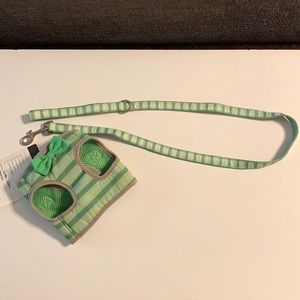 Dog harness and leash set